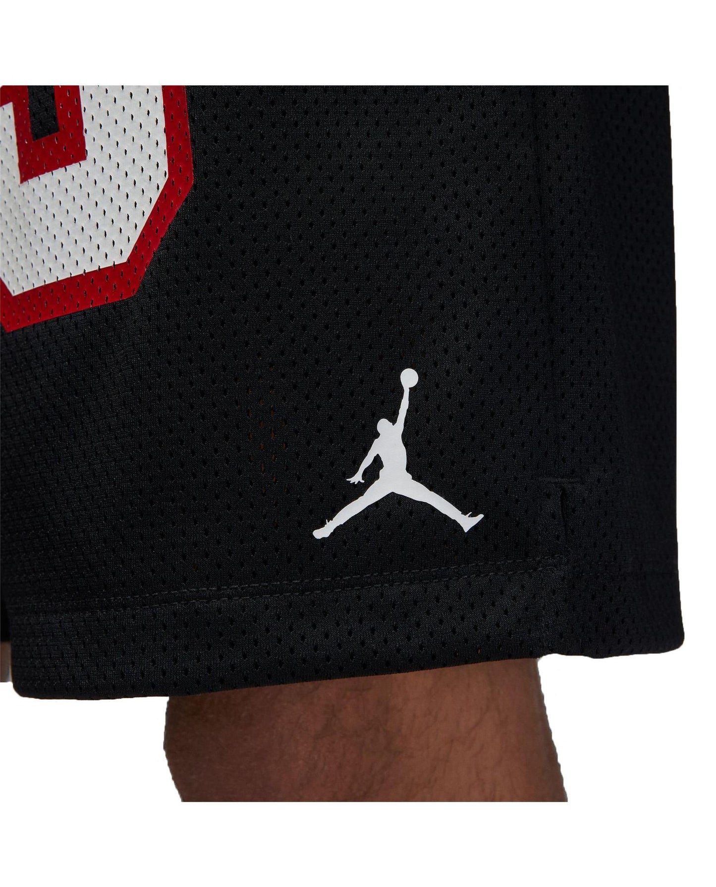 Air Jordan Essentials Graphic Mesh Shorts 23 Premium Basketball Short Size  S-XXL