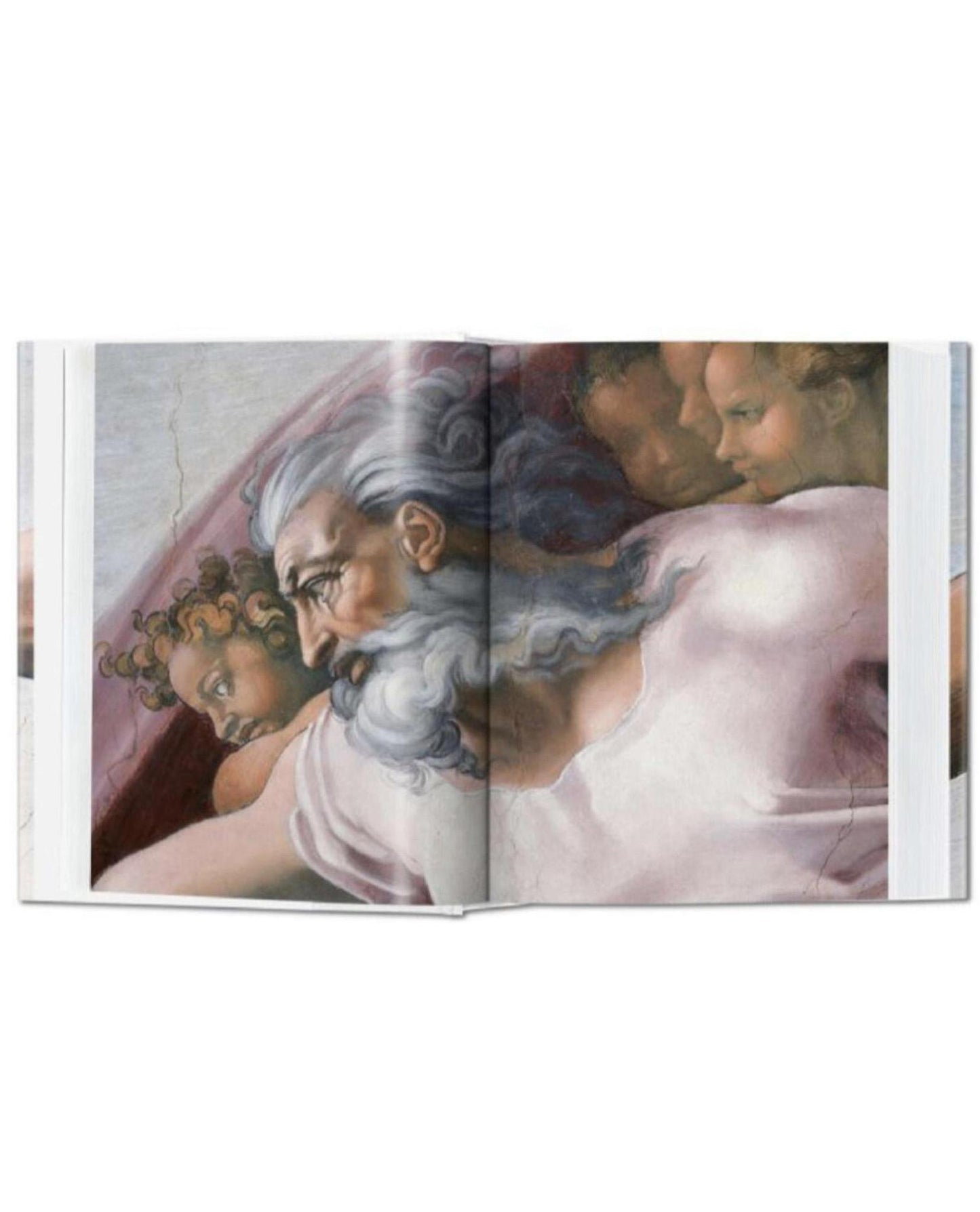 
                    
                      Michelangelo. The Complete Paintings, Sculptures and Architecture
                    
                  